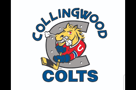 collingwood colts logo